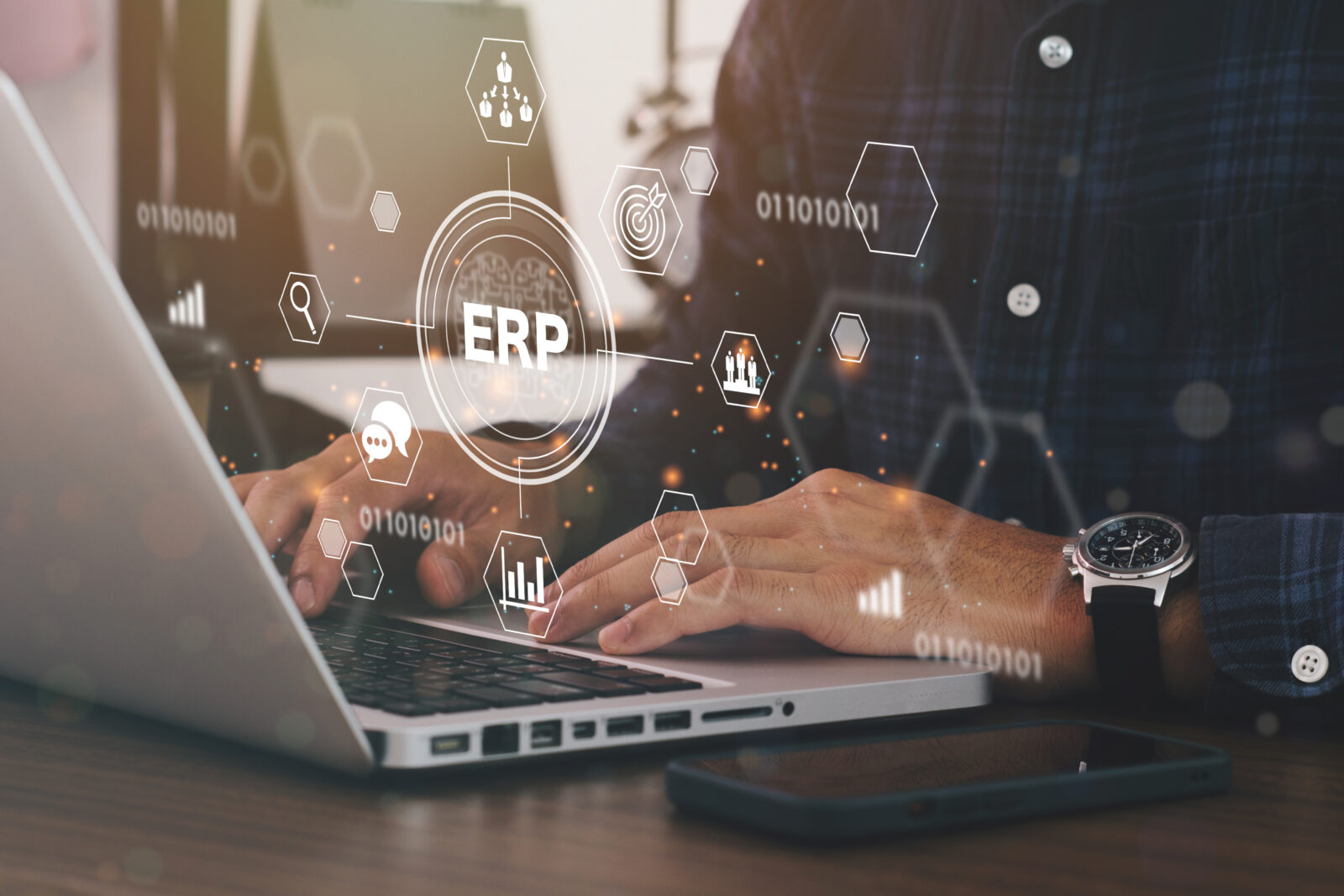 IT/ERP Manager